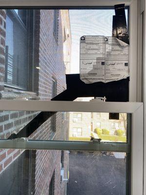 Window installer Fred from Long Island left me in my daughters room.