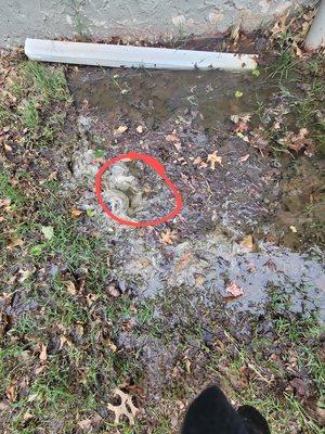 The cleanout place for my sewer in the backyard.