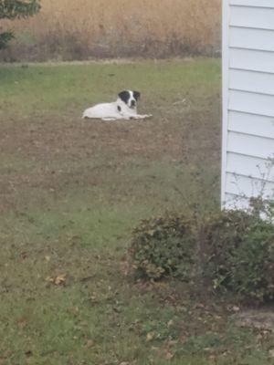 Sweet Magnolia Realty