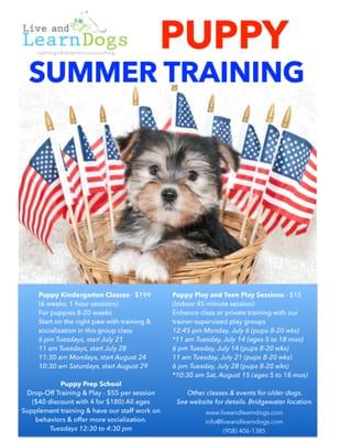 Summer puppy classes and events