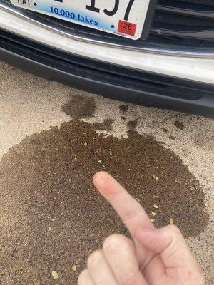 This looks like water but it's fuckin not y'all I have a check light on and got it checked out my warranty will not cover the damage