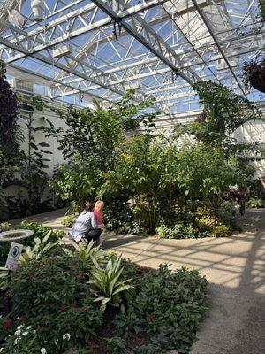 Inside the butterfly house