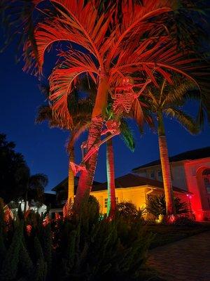 Gemini Prime Smart-Solutions