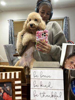 Zoomin Groomin - Brooklyn