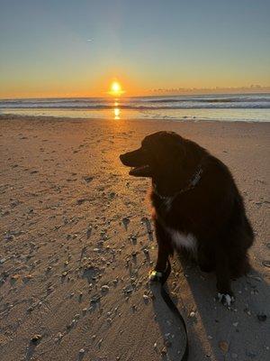 Sammy Warren watching the sunrise over the ocean.