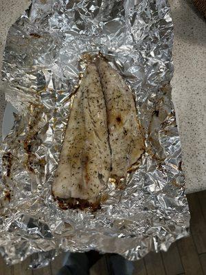 Red Snapper