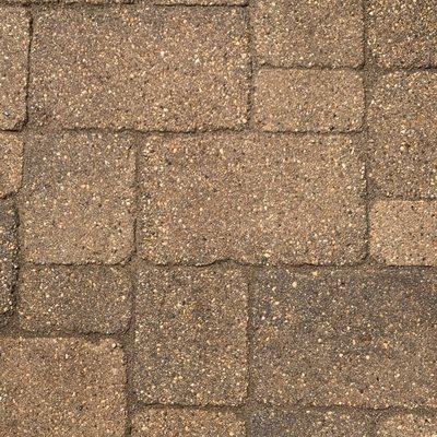 Morlock Landscape & Design