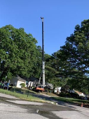 A Top to Bottom Tree & Lawn Service