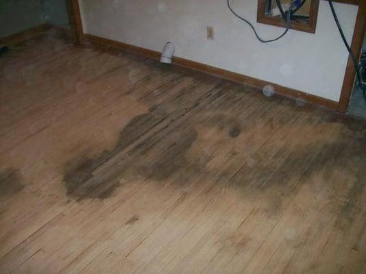 Luebbert Wood Floors