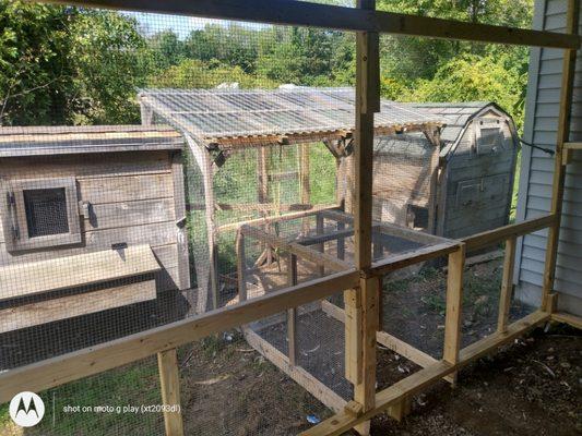 Blue Bear Lawn Care & Handyman Services