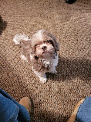 She was a beautiful happy 14 yr old baby