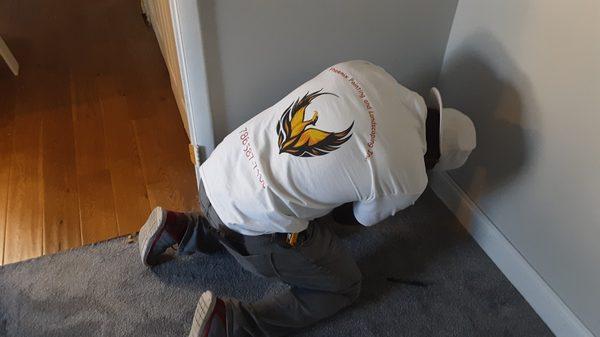 Phoenix Painting and Landscaping