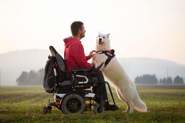 We handle cases involving Service Dogs and people with disabilities who use wheelchairs
