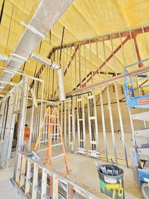 Lonestar Detail Painting & Remodeling