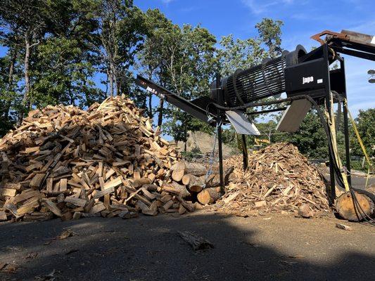 Firewood tumbler for cleaning firewood of small debris