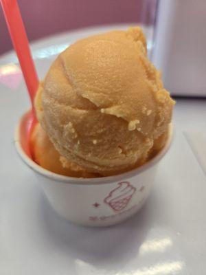 Caramelo Ice Cream & Fruit Bar