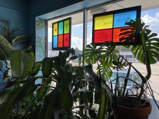 Biomes Marine Biology Center