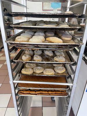 Panchitas Bakery