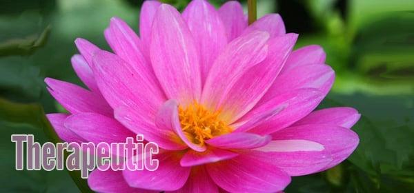 Crystal Springs Massage Therapy