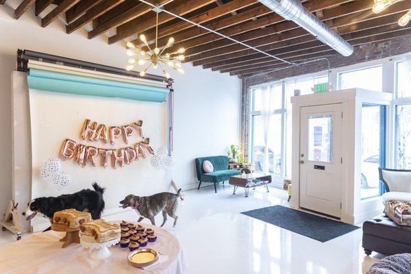 Zoomies Pet Cafe