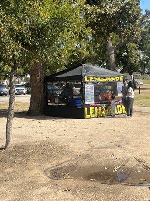 Freshly squeezed lemonade