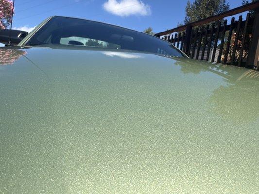 Woody's Elite Detail