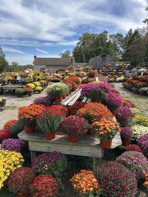 Edmondson's Farm Gift Shop & Florist