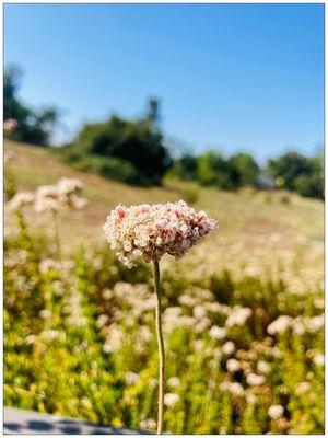 SIMPLY. G o r g e o u s.