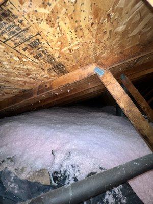 NxT Level Insulation