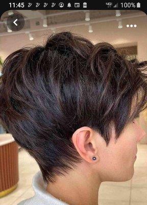 Best Little Hair House In Klipsan