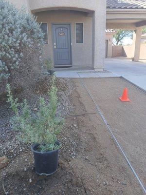 Cardinal Professional Landscaping