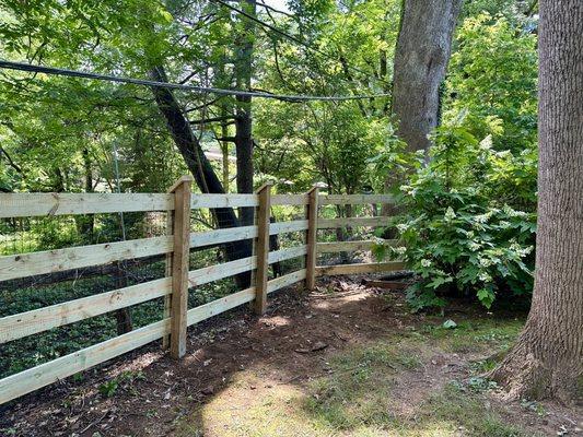 New fencing.