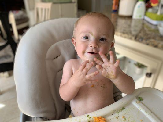 Tiny Hands Learning- Baby Sign Language