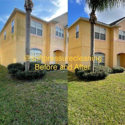 Softpressure Roof Cleaning and Power Washing Services