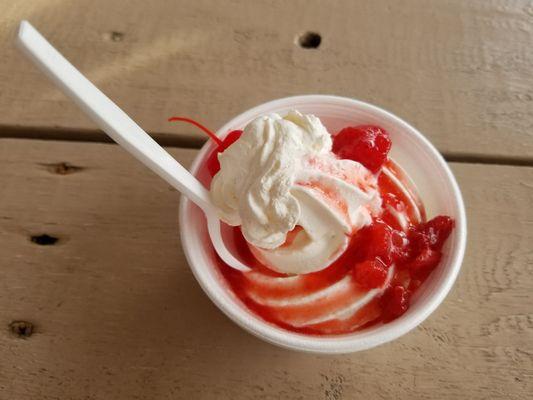 Sarah's Soft Serve & Food