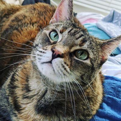 Sundance Animal Hospital