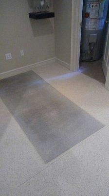 Carpet Doctor