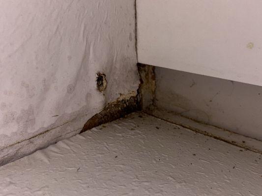 Evident water damage and mold from previous flooding last year.