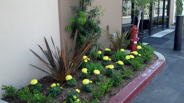 Kevin Haag & Associates