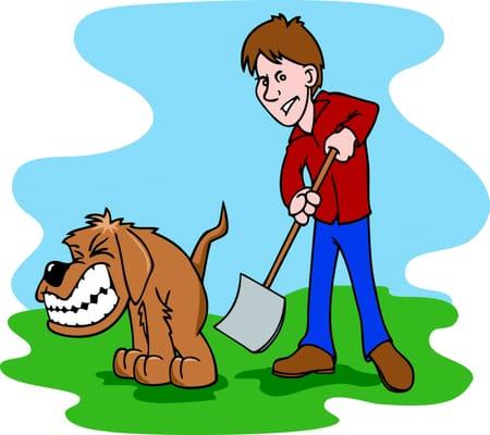 Got Dog Poop?