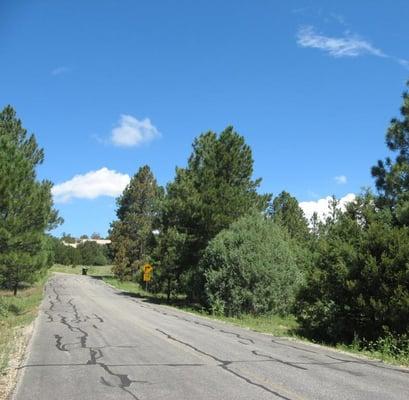 Cibola Realty Services