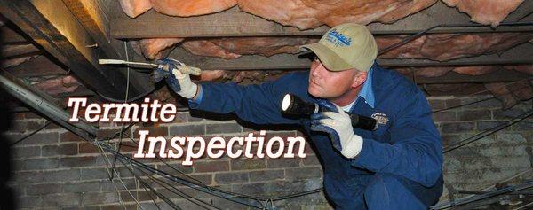 Curry's Termite, Pest & Animal Control