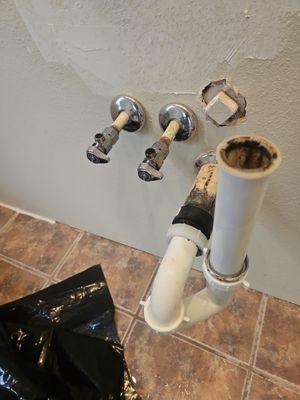 West Maui Home Maintenance