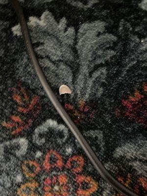 acrylic nail by mini fridge and behind dresser by bed which wasn't pushed back all the way or clean