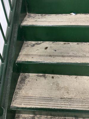 Ridiculous, disgusting, and unsafe!