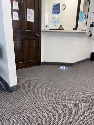 Clinical Pathology Labs