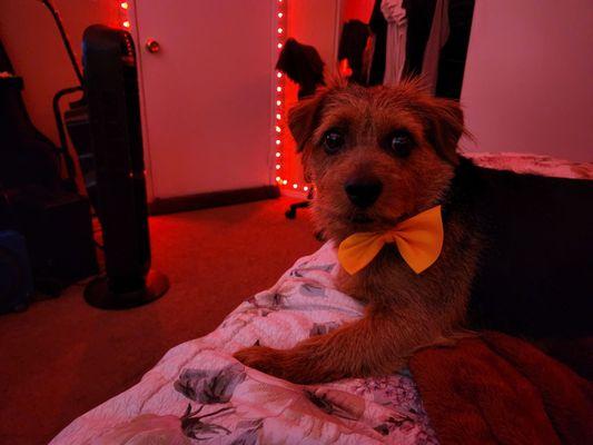 Lookin soo dapper dan