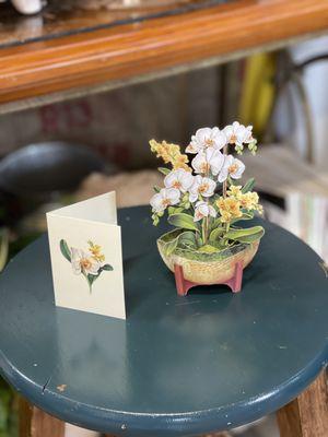 The Farmer's Daughter