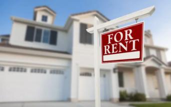 All Pest of Syracuse