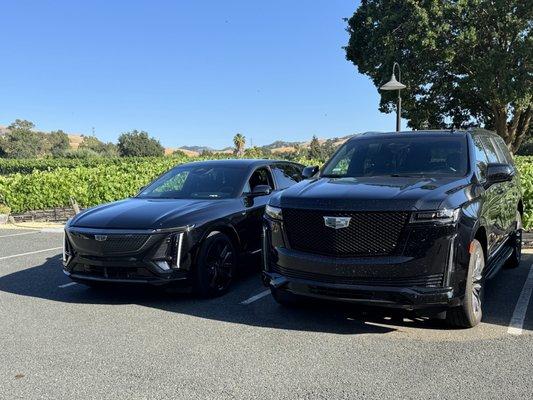 Reliable and high standard services